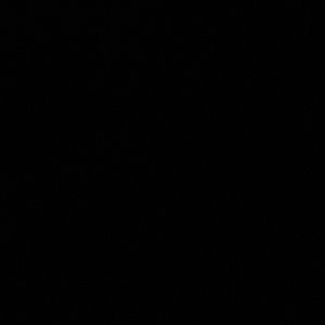 Meet your Posher, Rose